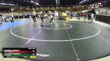 132 lbs Champ. Round 3 - Gunner Andrick, Point Pleasant vs Gaetano Tedesco, Lake Gibson
