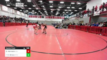 120 lbs Quarterfinal - Sadie Hermann, Holliston vs Yaritza Cruz-Bravo, Mount Everett