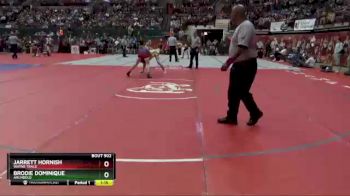 D3-144 lbs Semifinal - Brodie Dominique, Archbold vs Jarrett Hornish, Wayne Trace