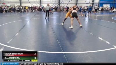 Elite 157 lbs Quarterfinal - Colton Bornholdt, St. Cloud State vs Jett Thoreson, Minnesota State Mankato