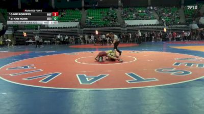 6A 120 lbs Quarterfinal - Gage Roberts, Hartselle vs Ethan Horn, Oxford