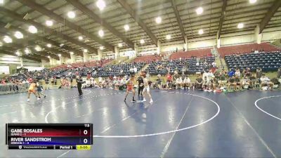 113 lbs Champ Round 1 (16 Team) - Gabe Rosales, Idaho 2 vs River Sandstrom, Oregon 1