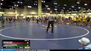 132 lbs Round 9 (10 Team) - Cadence Bushong, Iowa Pin-A-Sarus vs Kayden Sipp, Nebraska Tsunami