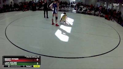 116 lbs 5th Place Match - Brody Pitner, Nebraska vs Liam Moline, The Best Wrestler