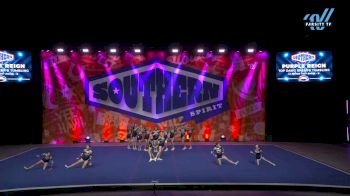 Top Dawg Cheer & Tumbling - Purple Reign [2025 L2 Junior - D2 - Small - B Day 3] 2025 Cheer Power Southern Nationals