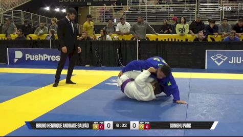 Sunghu Park vs Bruno Henrique Andrade Galvão 2025 Pan Jiu Jitsu IBJJF Championship