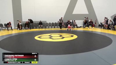 60 lbs Quarterfinals (8 Team) - Corbyn Zitek, Nebraska Elite vs Theodore Fritinger, PA Alliance