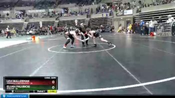102 lbs Semis & 1st Wrestleback (8 Team) - Levi Bullerman, Marshall/Lakeview/RTR vs Elijah Palubicki, Perham
