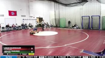 145 lbs Cons. Round 4 - Logan Dauenhauer, Orchard Park vs Abduali Mukumov, Sweet Home