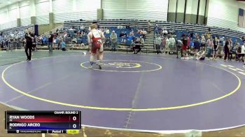 132 lbs Champ. Round 2 - Ryan Woods, MI vs Rodrigo Arceo, IL