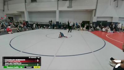 50 lbs Quarterfinal - Chandler Robinson, Best Trained Wrestling vs Zaylah Castillo, Gracie Barra Westchase Wrestling Club