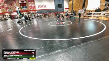 145 lbs Champ. Round 1 - Cheyenne Marshall, Thunder Basin vs Tawny Bertolini, Greybull/Riverside