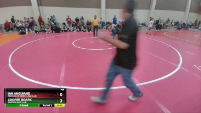 110-115 lbs Round 3 - Cooper Roark, Spartan Mat Club vs Ian Anguiano, Texas Elite Wrestling Club