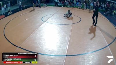 60 lbs Quarterfinal - Michael Pechnyo, Colorado vs Luke Wolfley, Idaho