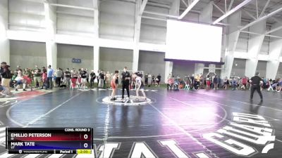 97 lbs Cons. Round 3 - Emillio Peterson, ID vs Mark Tate, UT