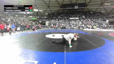 Boys 4A 106 lbs Cons. Round 1 - Gabriel Razon, Rogers (Puyallup) vs Gregory Campbell, Woodinville