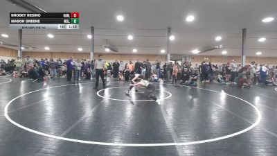 115 lbs Round Of 16 - Brodey Resino, Hawley vs Mason Greene, Wellsboro