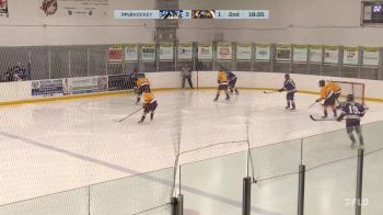 Replay: Home - 2024 Blues vs Admirals | Dec 19 @ 7 PM