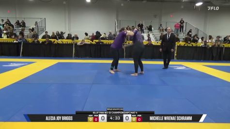 Michelle Wrenae Schramm vs Alecia Joy Briggs 2026 Pan IBJJF Jiu-Jitsu No-Gi Championship