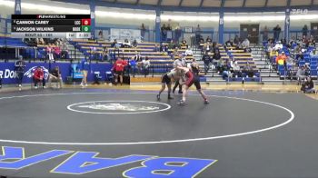 165 lbs Quarterfinal - Jackson Wilkins, Northeast Oklahoma vs Cannon Carey, Labette Community College