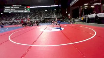 130 lbs Quarterfinal - Carlee Roth, Thunder Basin vs Oakley Hepworth, Star Valley