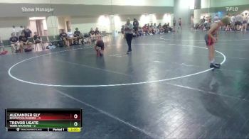 106 lbs Round 3 (6 Team) - Alexander Ely, Rootstown Raiders vs Trevor Ugate, Terre Haute Red