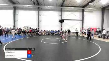 36 kg Quarterfinal - Cole Welte, MWC Wrestling Academy vs Gavin Heverly, M2 Gold