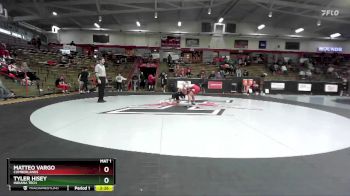 125 lbs Quarterfinal - Tyler Hisey, Indiana Tech vs Matteo Vargo, Cumberlands