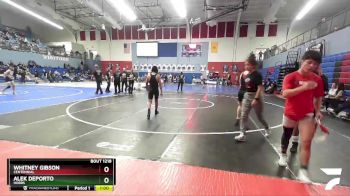 133 lbs 7th Place Match - Whitney Gibson, Centennial vs Alek Deporto, Hobbs