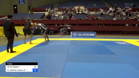 Michael A Rakshan-Sabeti vs Harry James Lopez Jr 2024 Pan IBJJF Jiu-Jitsu No-Gi Championship