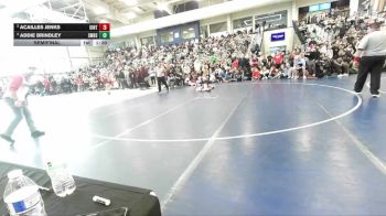 110 lbs Semifinal - Addie Brindley, Salem Hills vs Acailles Jenks, Uintah