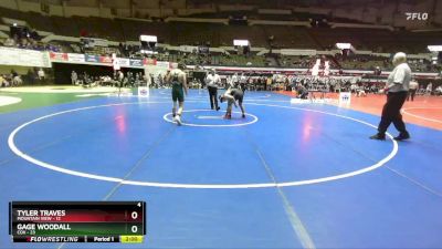 144 lbs Finals (2 Team) - Tyler Traves, Mountain View vs Gage Woodall, Cox