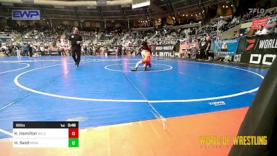 85 lbs Quarterfinal - Kingston Hamilton, Wildcat Wrestling Academy vs Henry Seidl, Minnesota Elite