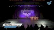 Dance Dynamics - Youth Select Large Jazz [2025 Youth - Jazz - Large Day 2] 2025 Power Dance Grand Nationals