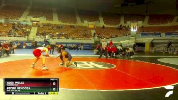 D3-132 lbs Champ. Round 1 - Pedro Mendoza, Walden Grove vs Aden Wells, Florence Hs