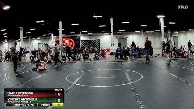 76 lbs Semis (4 Team) - Vincent Antonelli, Junior Terps Xpress vs Nate Patterson, Virginia Patriots