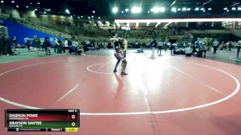 165 lbs Quarterfinal - Daishun Powe, Gardendale Hs vs Grayson Santee, Buford HS