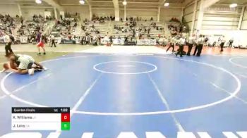 220 lbs Quarterfinal - Kaydon Williams, UT vs John Levy, GA