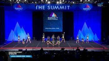 Empire Cheer Academy - Stealth [2025 L3 Senior Coed - Small Prelims] 2025 The D2 Summit