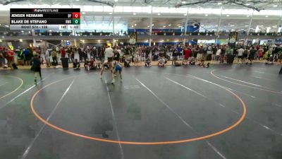 138 lbs Cons. Round 3 - Jensen Heimann, Unattached vs Blake De Stefano, Unattached
