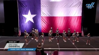 Apex Cheer - Gunmetal [2024 L1 Youth - Novice - Restrictions Day 1] 2024 Cheer Power Texas State Showdown Galveston