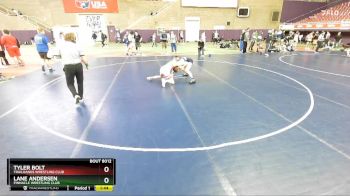 118-118 lbs Round 1 - Tyler Bolt, Trailhands Wrestling Club vs Lane Andersen, Pinnacle Wrestling Club