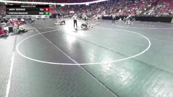 D1-190 lbs Cons. Round 2 - Andy Servais, Pulaski vs Chetan Malkan, Waukesha West