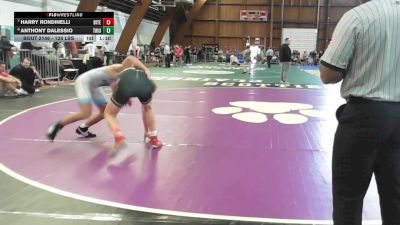 128 lbs Rr Rnd 3 - Harry Rondinelli, Bitetto Trained vs Anthony Dalessio, Triumph