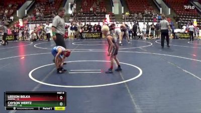 50/53 Quarterfinal - Cayson Wertz, Reed City vs Leeson Belka, Martin