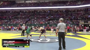 D1-215 lbs Champ. Round 1 - Teddy Gregory, Stow-Munroe Falls vs Behlen Waugh, St. Edward