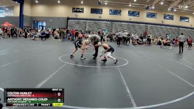 88 lbs Round 6 (8 Team) - Anthony Mesanko-Coleman, Top Dawg Academy vs Colton Hunley, Crossroads Wrestling