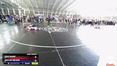 106 lbs Cons. Round 3 - Cole Sharp, UT vs Waylon Nelson, ID