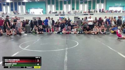 88 lbs Cons. Round 1 - Ice McCormick, Quest For Gold vs Raider Dias, Triangle