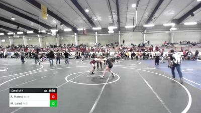 109 lbs Consi Of 4 - Avery Hanna, Blue Thunder Wrestling vs Maria Laird, Piedra Vista Panthers